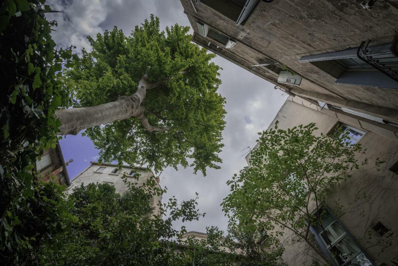 Les Jardins De L'Ecusson - Premiere Conciergerie Apartment Montpellier Exterior photo